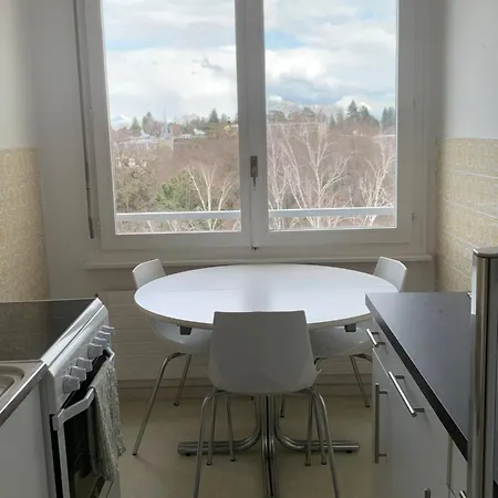 Beautiful 1-bed Near Palexpo, Un Agencies & Diplomatic Missions *
